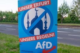 Surveillance d&rsquo;un parti politique « extrémiste » par l&rsquo;État : le dilemme de la démocratie constitutionnelle allemande