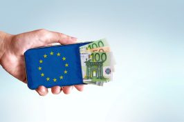 Euro numérique : une version électronique des billets et des pièces ?
