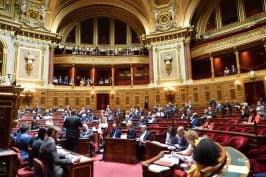 Le Parlement face au décret d’avance : une marginalisation consentie ?