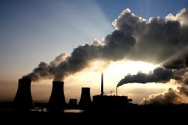 La neutralité climatique en temps de pandémie