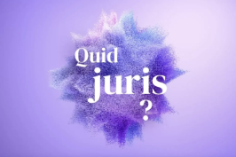 « Quid Juris ? » – Il y a trop de lois en France !