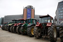 Contestation agricole européenne : les raisons de la colère