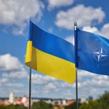 L’adhésion de l’Ukraine à l’OTAN, une question de temps long