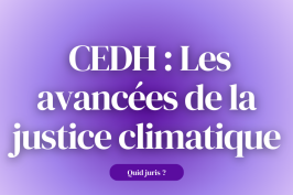 « Quid Juris ? » – CEDH : Les avancées de la justice climatique