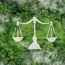 Un nouveau contentieux climatique en vue : Des citoyens et ONG attaquent le Plan national d’adaptation au changement climatique