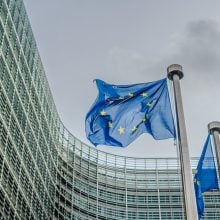 Escalopes, burgers et jaunes d’œufs : des dénominations réservées aux produits composés de viande ?