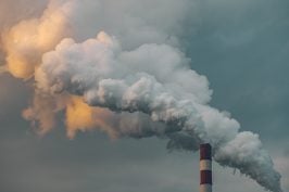 Les victimes des PFAS entrent dans le prétoire !