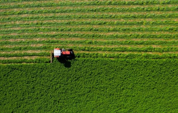Loi Duplomb 2 : de la fuite dans les idées