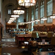 L’offensive de Donald Trump contre les politiques de diversité dans les universités américaines
