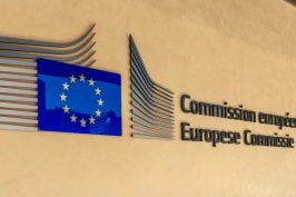 Majorité numérique : Bruxelles met un coup d&rsquo;arrêt au Parlement français