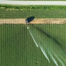 Dépasser la posture idéologique face à l&rsquo;impérative transition écologique